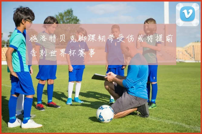 施洛特贝克脚踝韧带受伤或将提前告别世界杯赛事