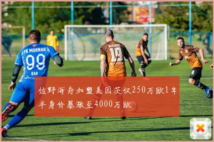 佐野海舟加盟美因茨仅250万欧1年半身价暴涨至4000万欧