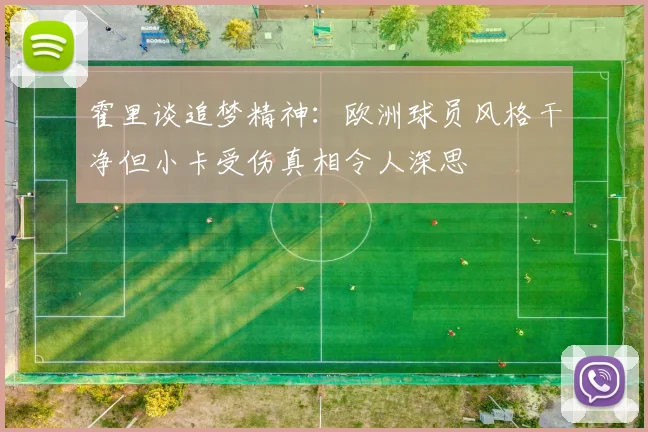 霍里谈追梦精神：欧洲球员风格干净但小卡受伤真相令人深思