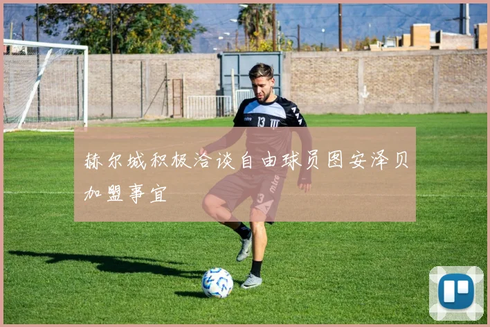 赫尔城积极洽谈自由球员图安泽贝加盟事宜