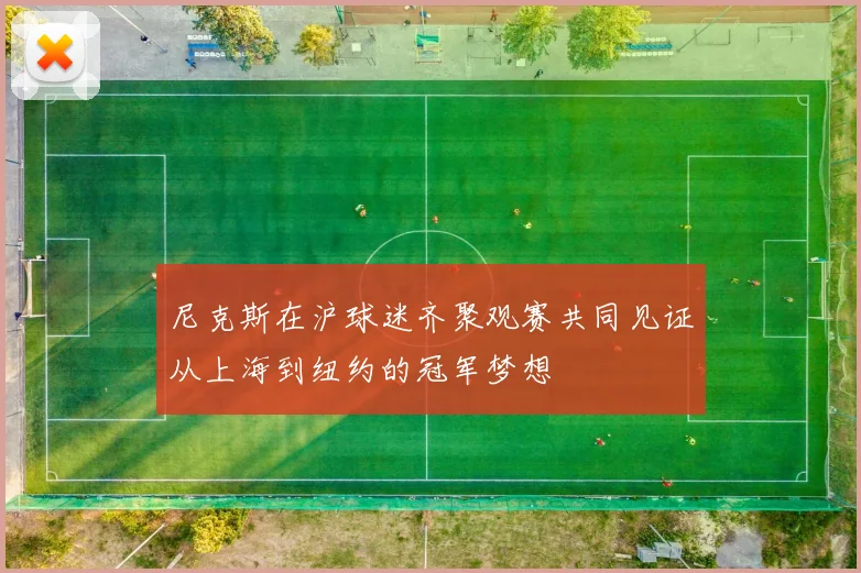 尼克斯在沪球迷齐聚观赛共同见证从上海到纽约的冠军梦想